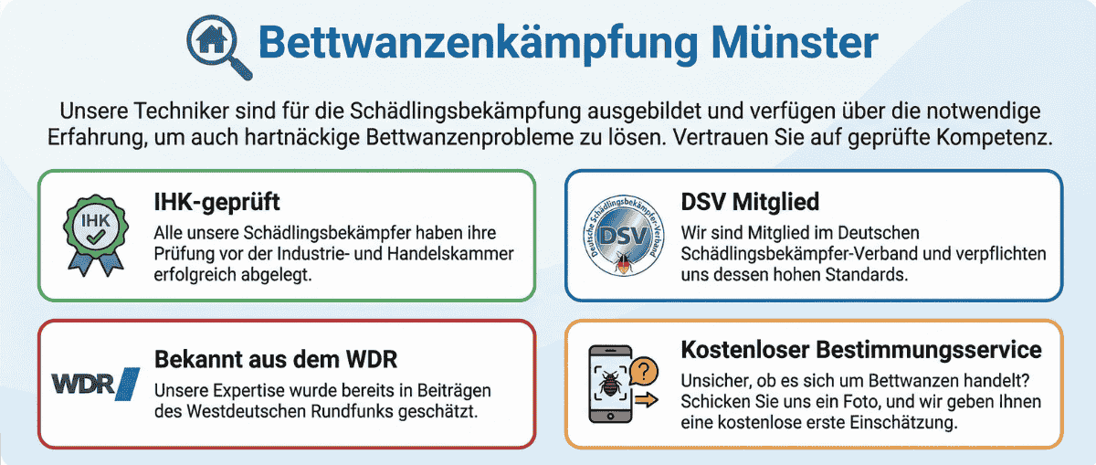 Bettwanzenbekämpfung in Münster