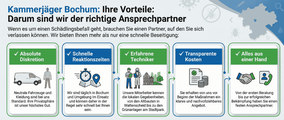 Kammerjäger Bochum – Schädlingsbekämpfung Bochum