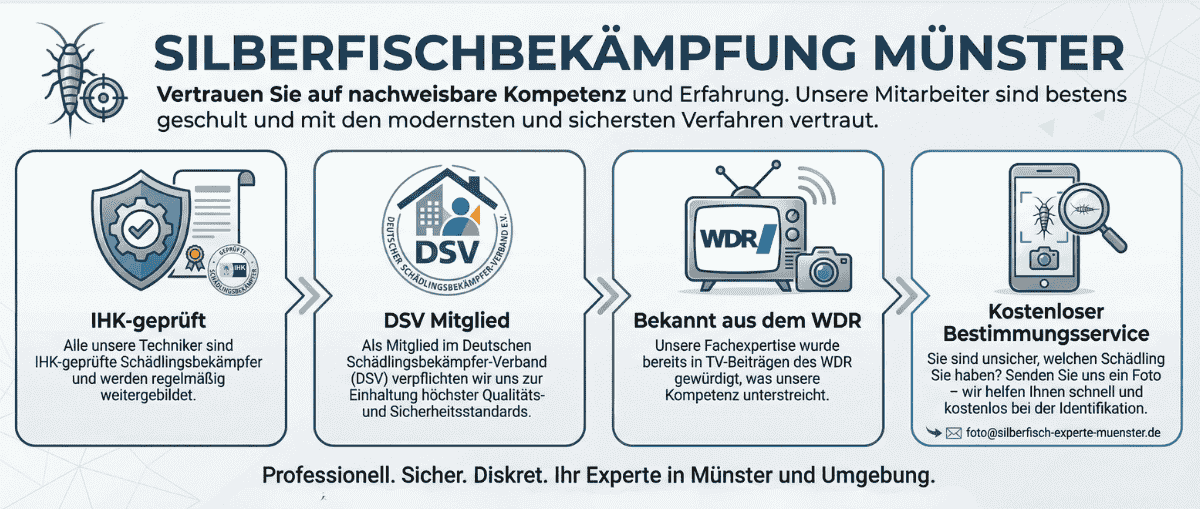 Silberfischbekämpfung in Münster